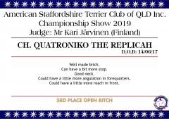 Ch. Quatroniko The Replicah.png